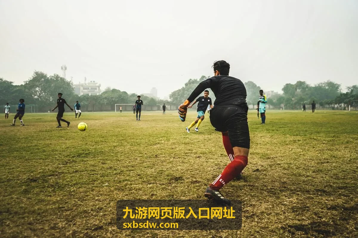 九游网页版入口网址登录安全设置示意